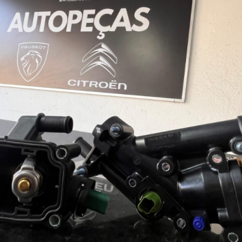 comprar peças para peugeot ou citroen mg bh